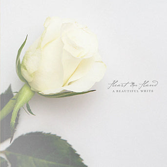 Heart In Hand "A Beautiful White"