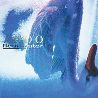 Fleshwater "2000: In Search Of The Endless Sky"