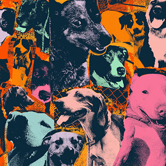 V/A "The Dogs Of Hope"