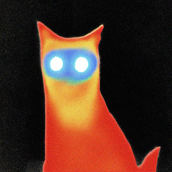 Basement "WIRED (Color Vinyl)"