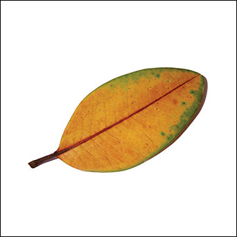 La Quiete "La Fine Non E La Fine"