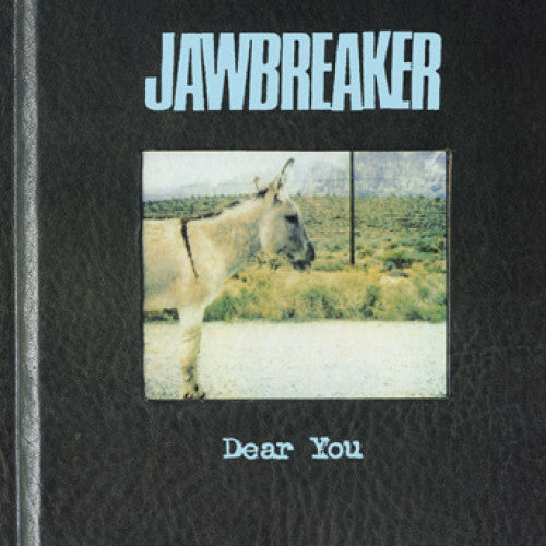 DGC248-1 Jawbreaker "Dear You" LP Album Artwork