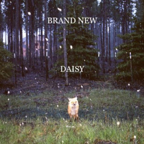 DGC3357-1 Brand New "Daisy" LP Album Artwork