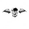 HR696-1 Avenged Sevenfold "s/t" LP Album Artwork