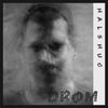 SUNN273-1 Halshug "Drom" LP Album Artwork